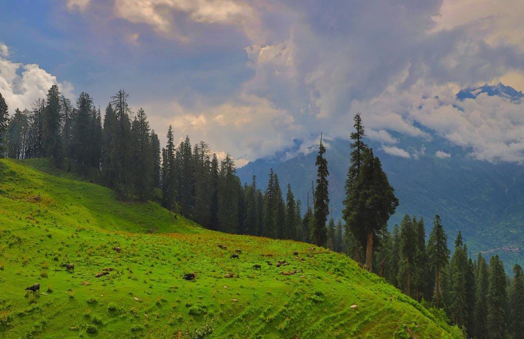 amarnath